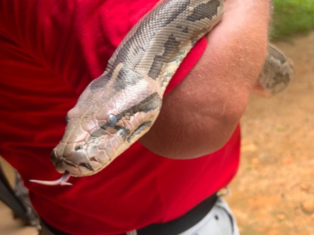 Snake Farm Weligama (Traditional Farm)景点图片