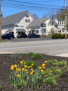 Cattail Farms Antiques-韦尔斯必去景点