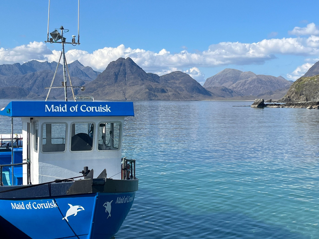 Misty Isle Boat Trips景点图片