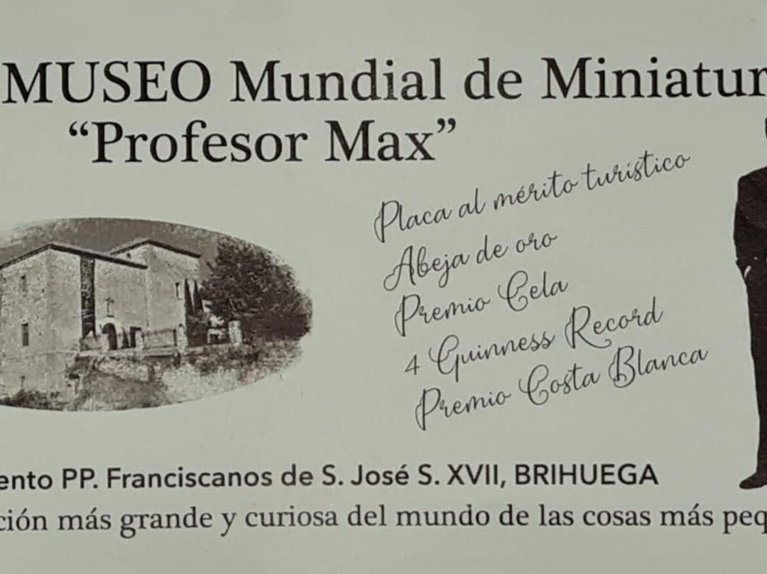 Museo miniaturas Profesor Max景点图片