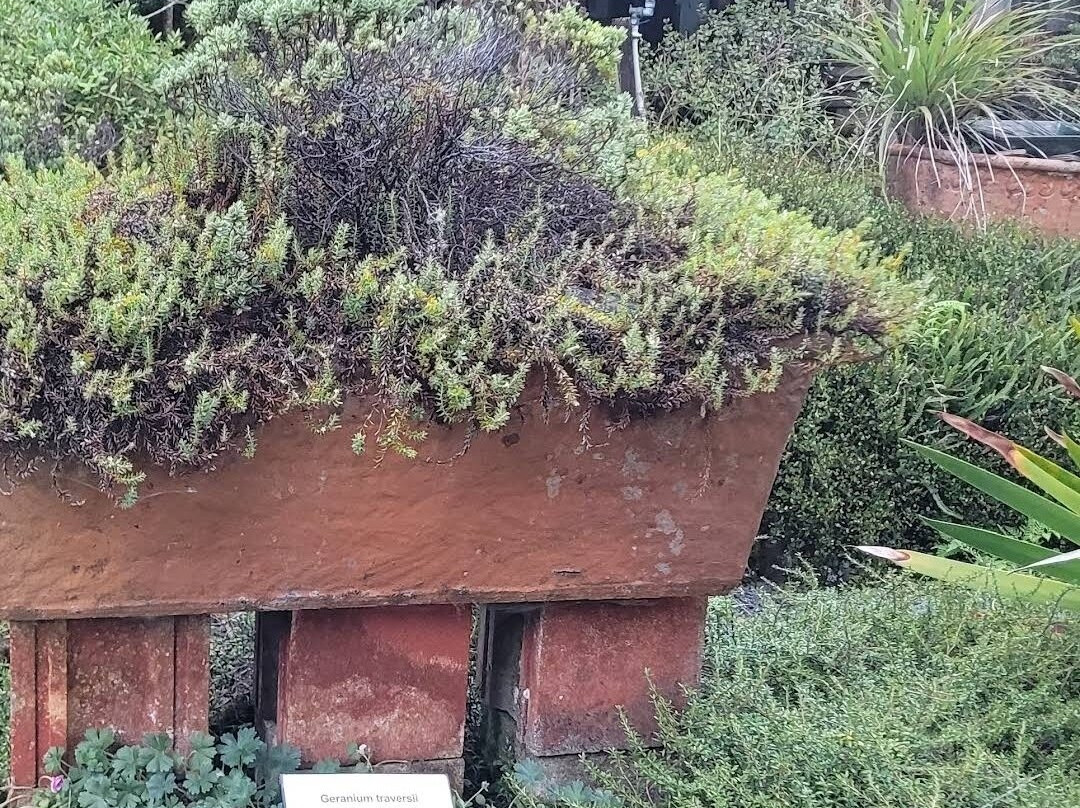 Fernglen Native Plant Gardens-Birkenhead必去景点