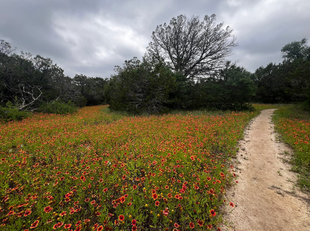 Dinosaur Valley State Park-Glen Rose必去景点