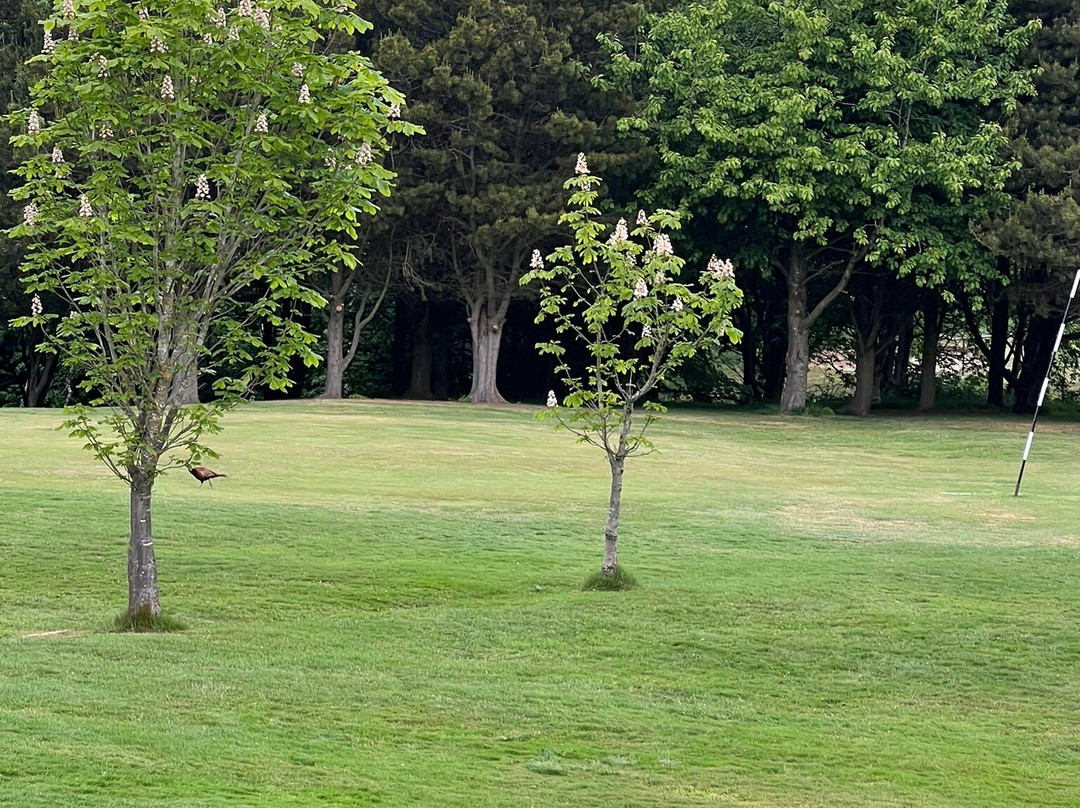 Beamish Park Golf Club-Stanley必去景点