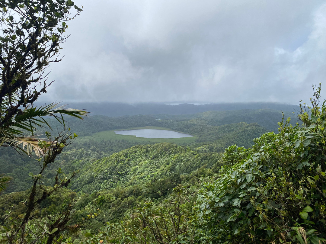 Mount Qua Qua Grenada-Grand Etang National Park必去景点
