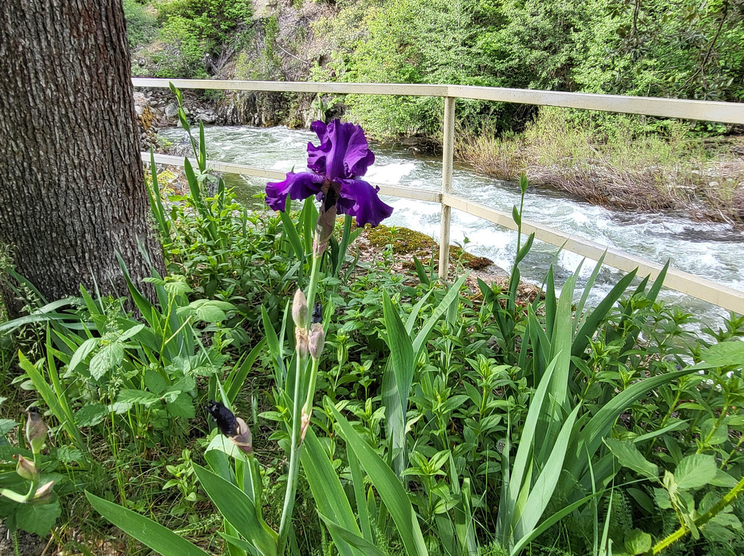 Sierra Shangri-La主图