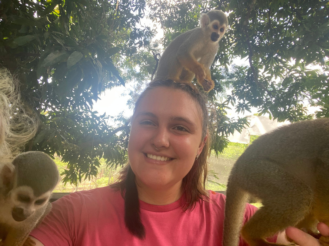 Monkeyland At Samaná-Santa Barbara de Samana必去景点