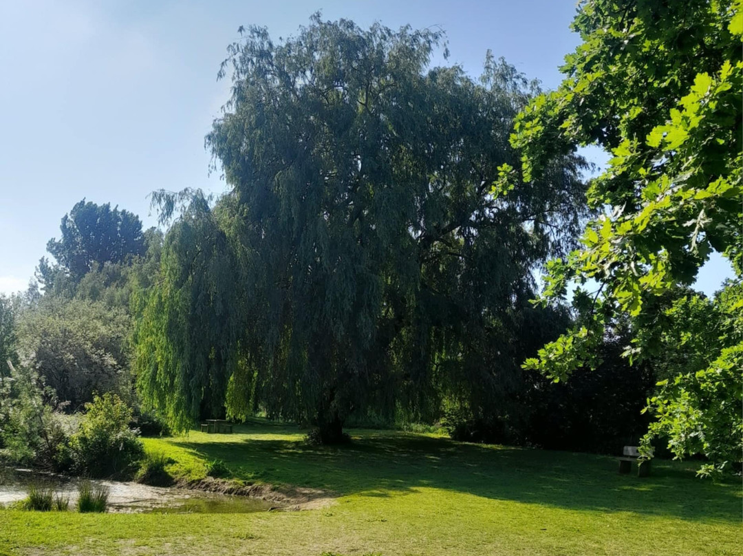 Barnwell Country Park-Oundle必去景点