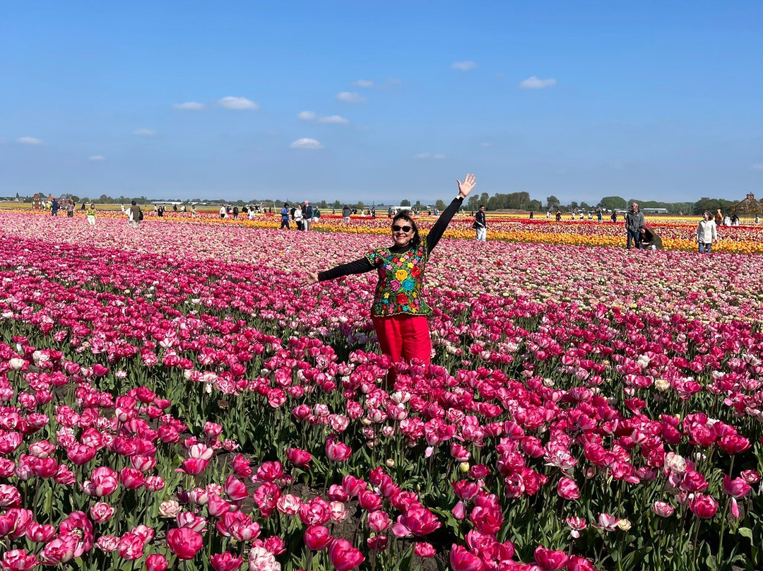 Tulip Experience Amsterdam景点图片