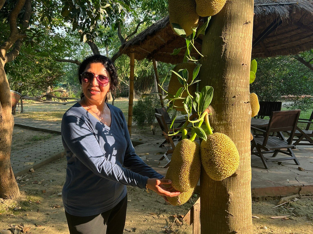 Lumbini Buddha Garden Resort主图