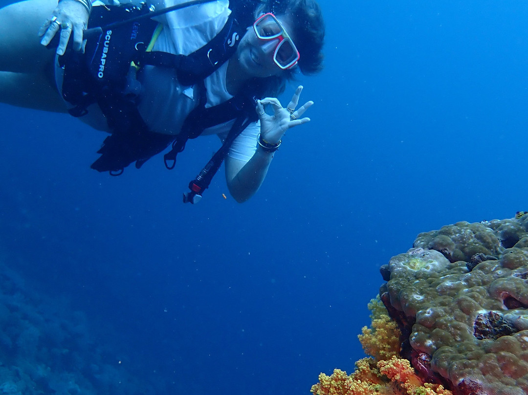 Ocean Ventures Fiji-萨武萨武必去景点