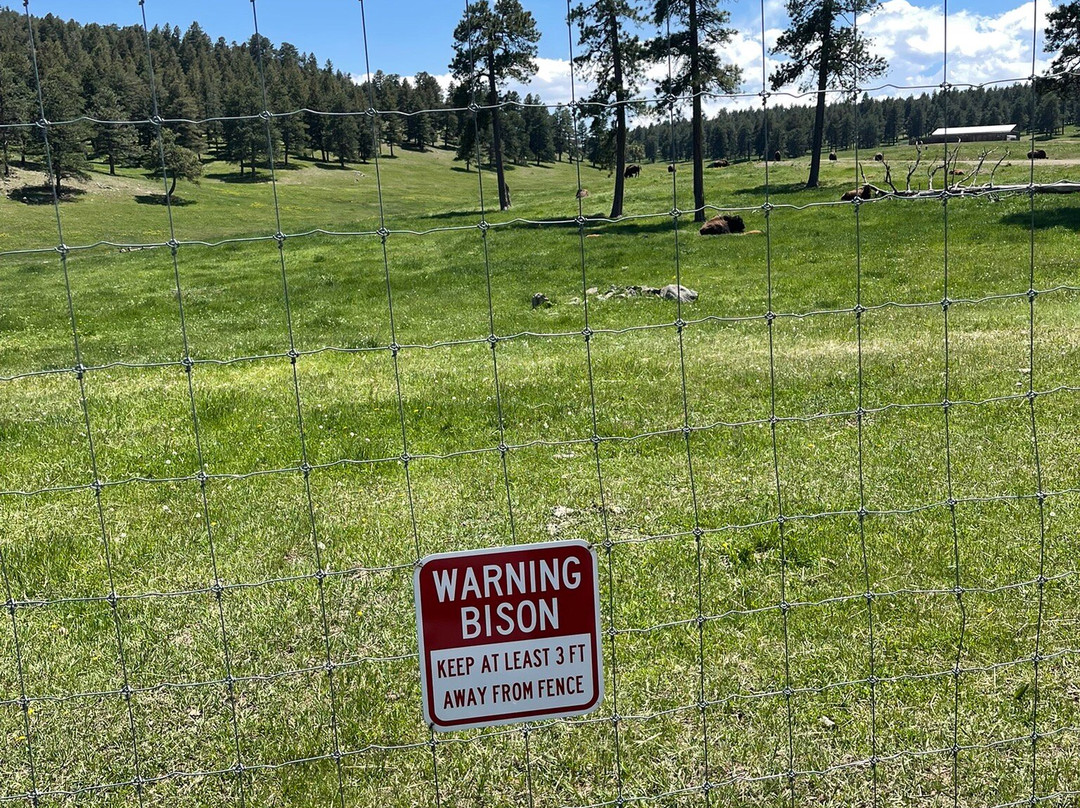 Genesee Park-丹佛必去景点