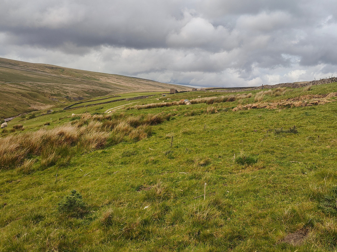 Frith Lodge Keld主图