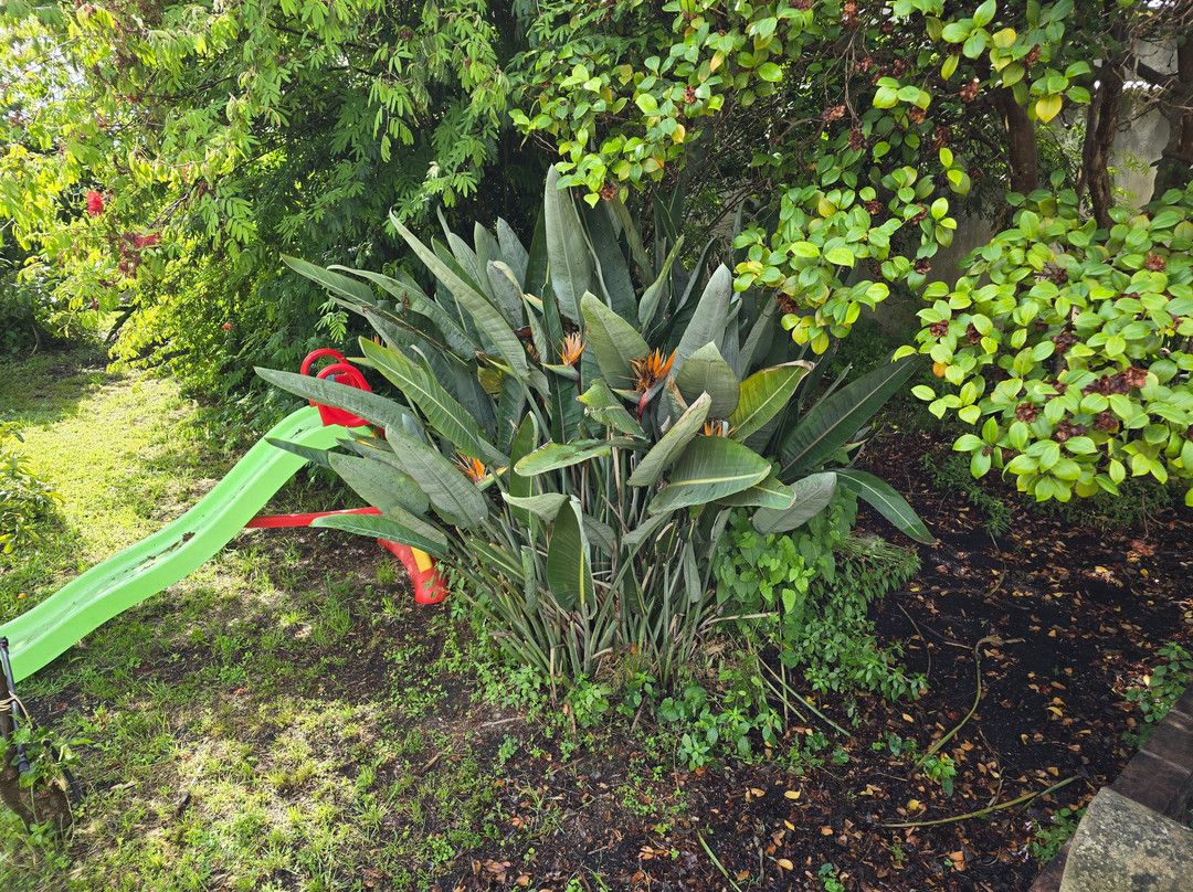 Giardino Arancio主图