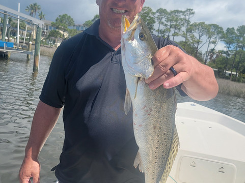 Brown's Inshore Guide Service-橙色海湾必去景点