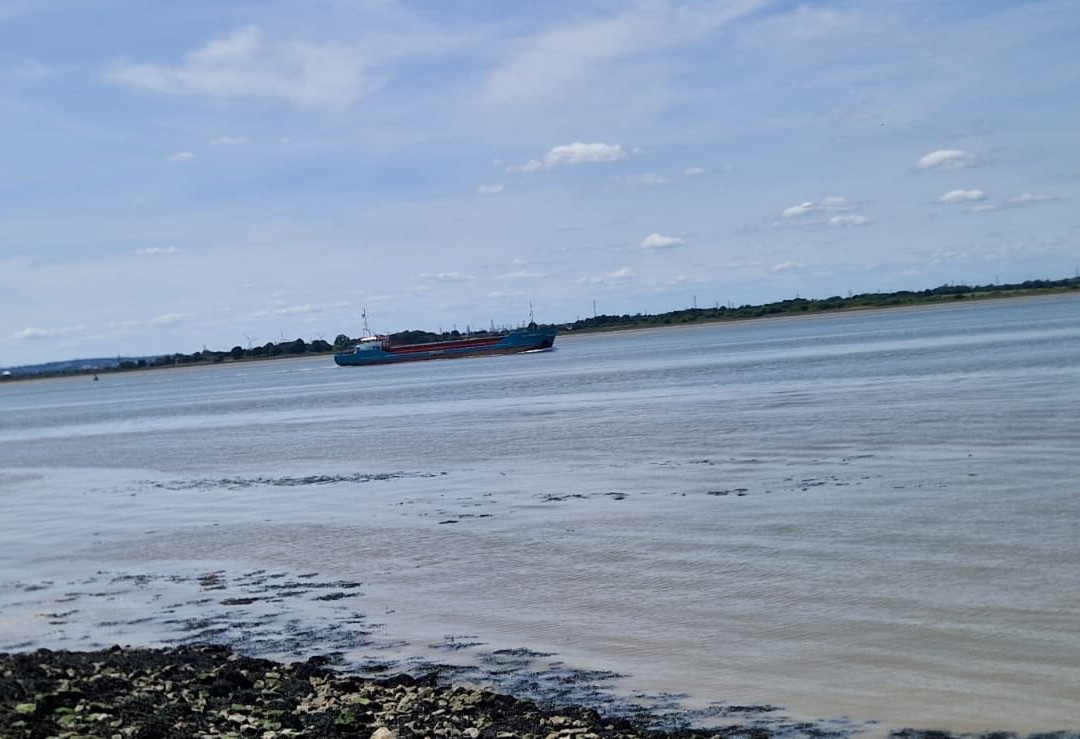 Cliffe Pools景点图片