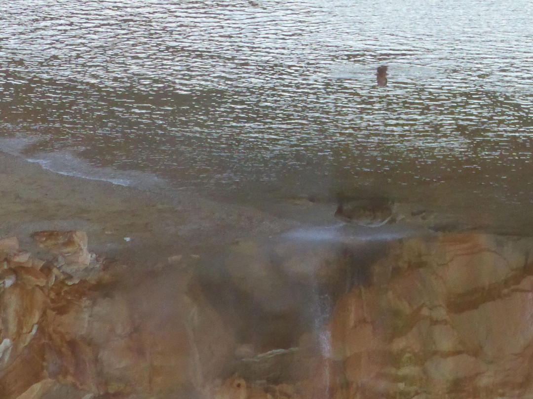 The Healing Thermal Springs of Edipsos-Edipsos必去景点