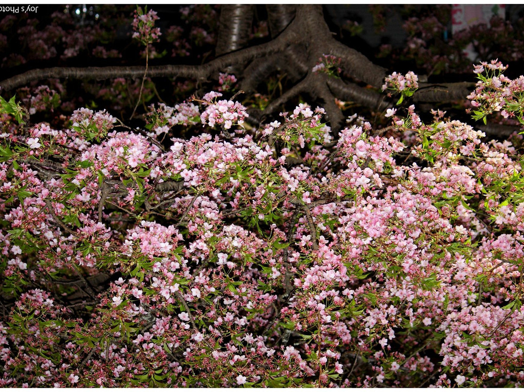 Misakiguchi Ekimae Tourist Information Center