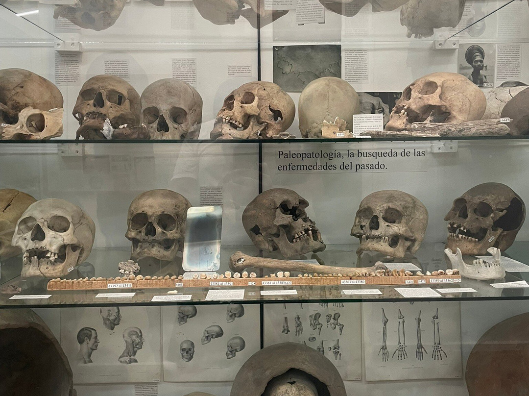 Museo Polifacetico Rocsen-Nono必去景点