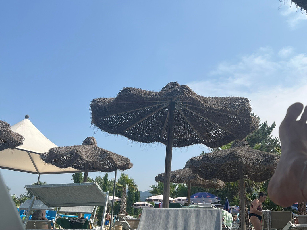 Jolly Park-Dragoni必去景点