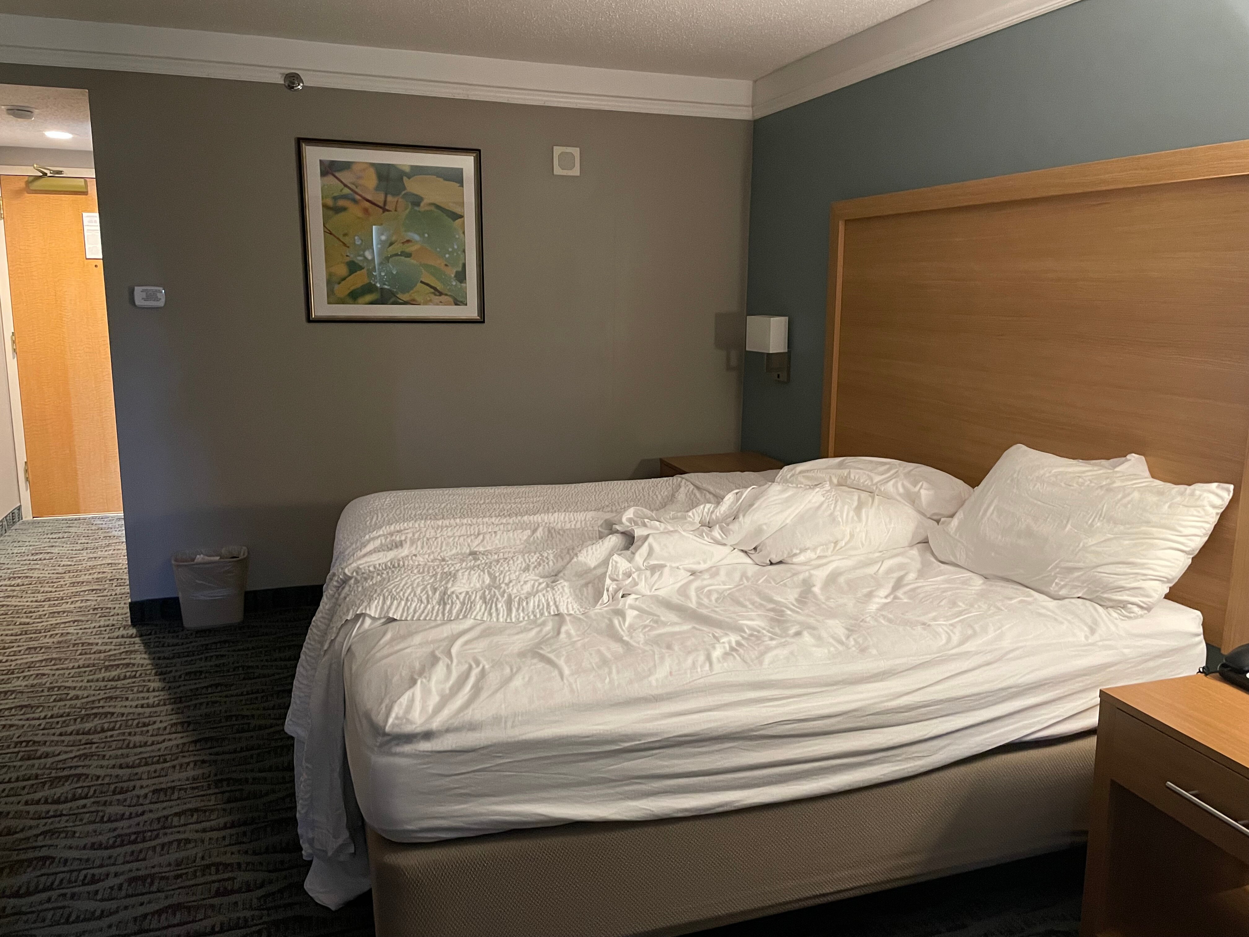 Best Western Plus Executive Court Inn & Conference Center-官方