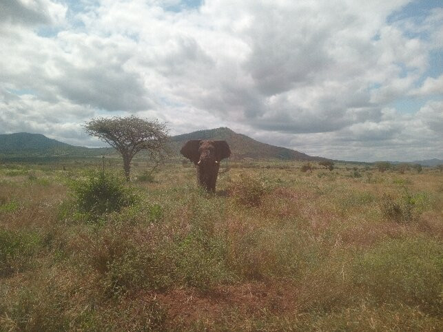 Mkomazi National Park-Gonja必去景点