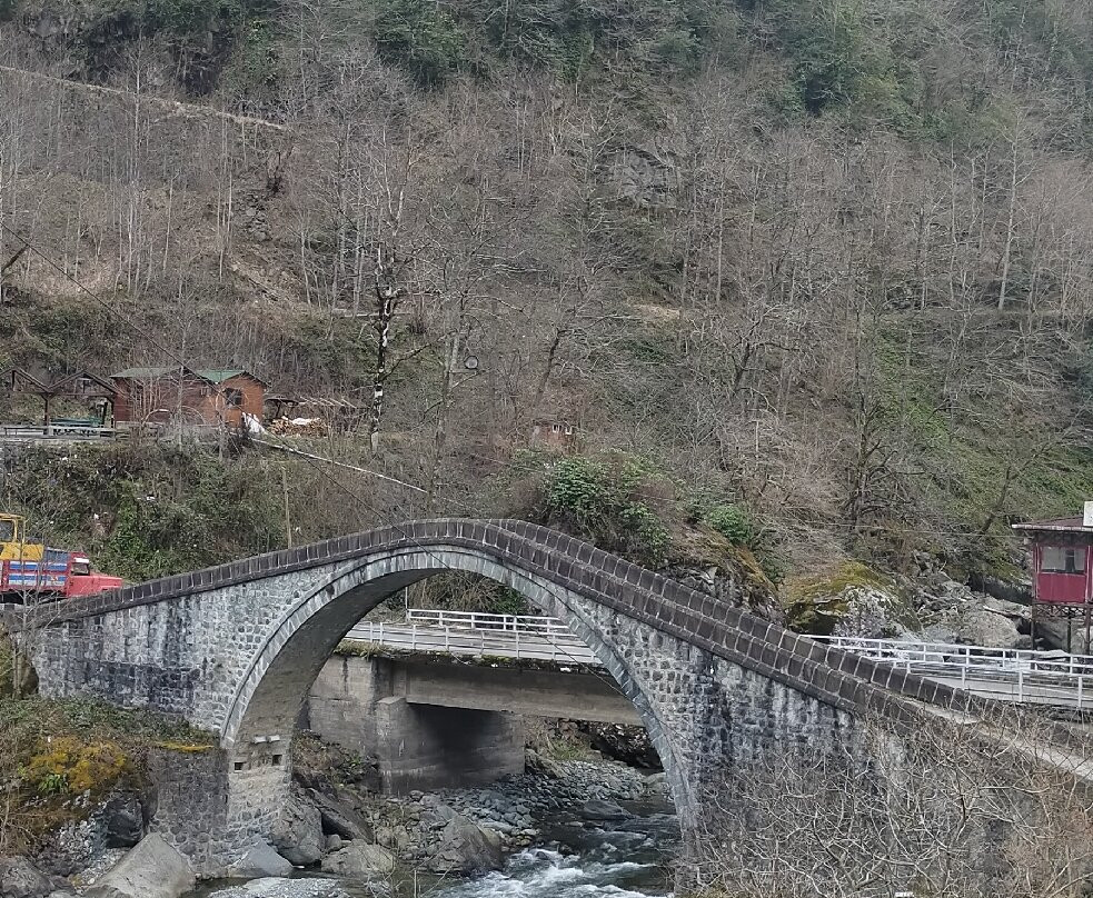 Twin Bridge-Artvin必去景点