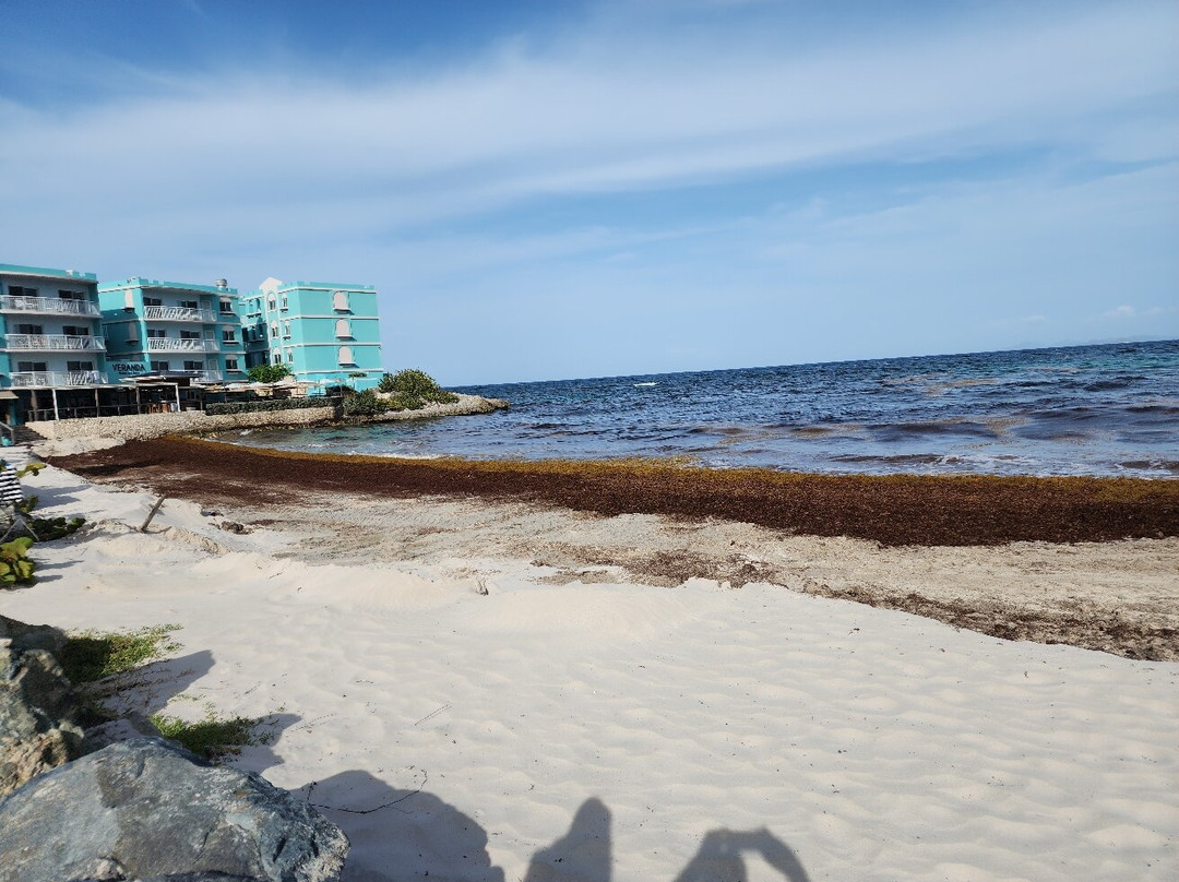 Oyster Pond-Oyster Pond必去景点