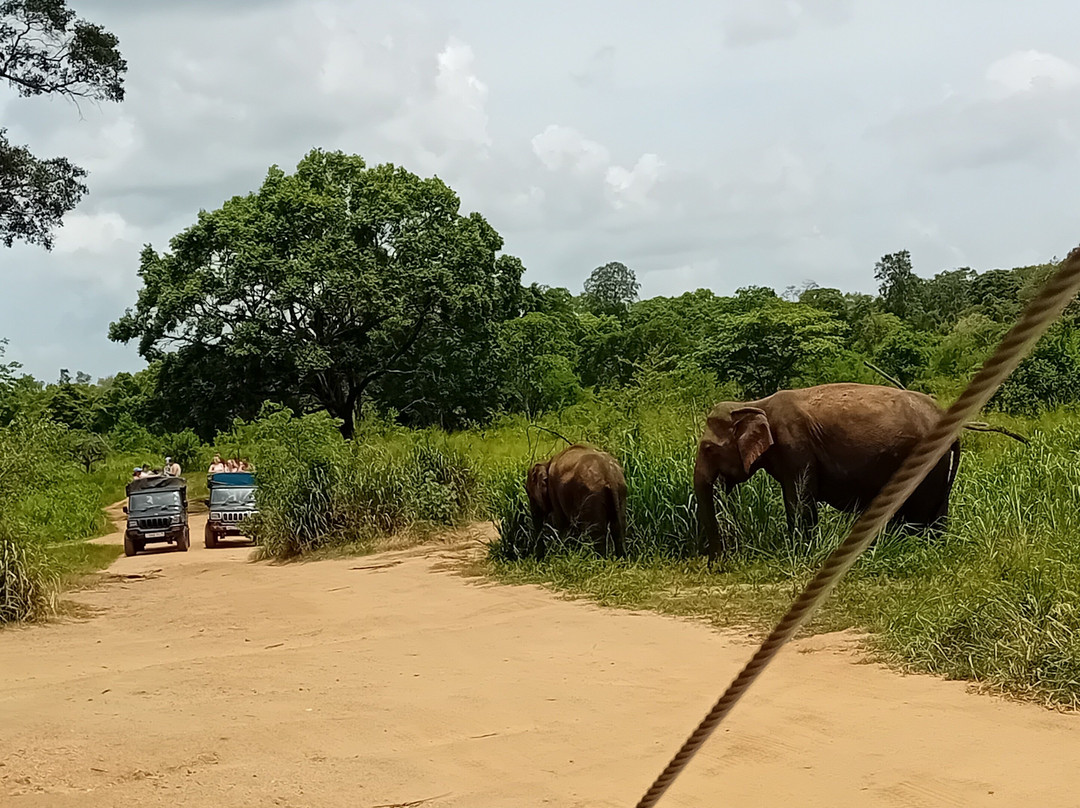 Ceylona Destinations-Waikkal必去景点