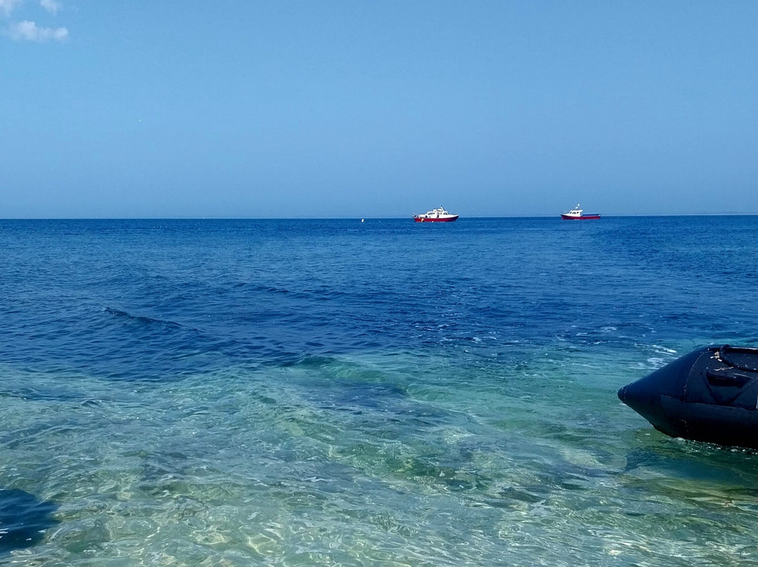 Saltee Islands-Kilmore Quay必去景点