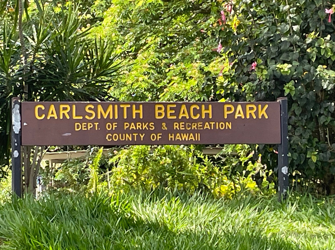 Carlsmith Beach Park-希洛必去景点