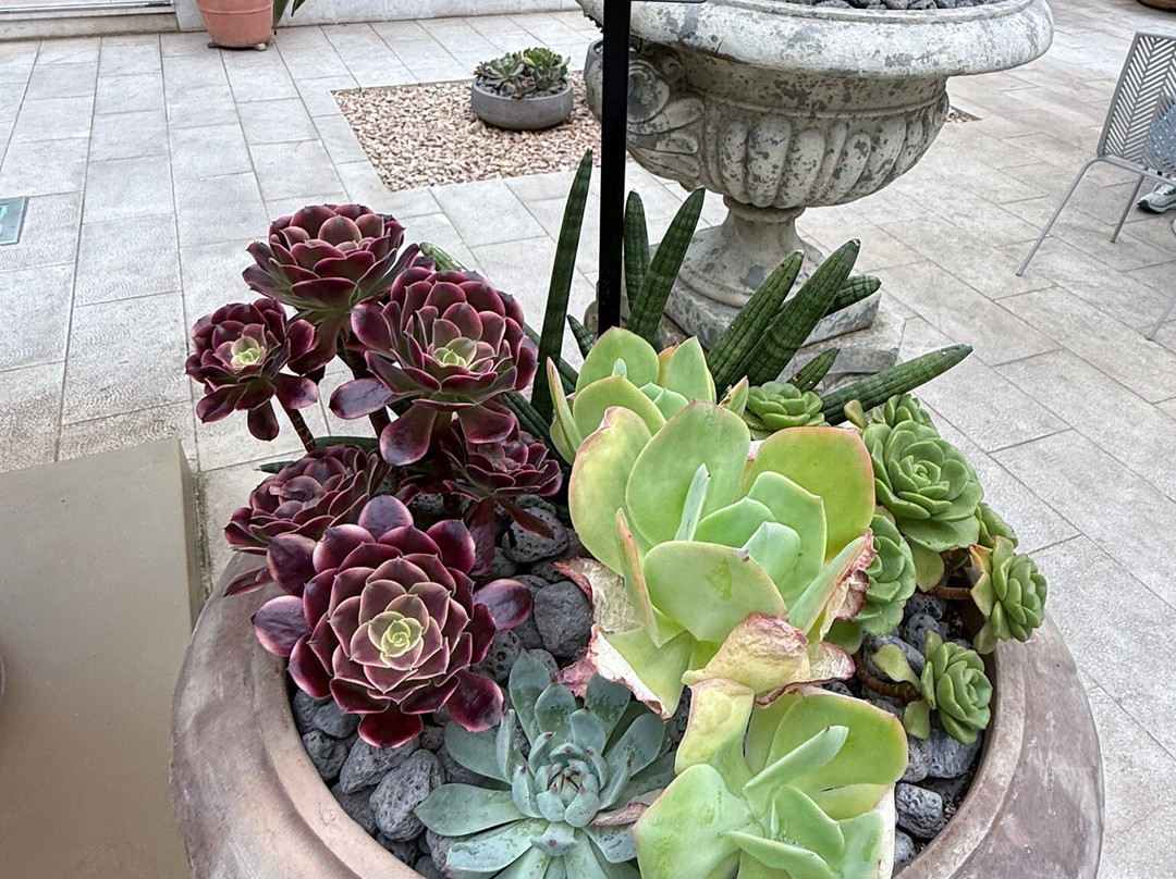 Seoul Botanical Garden-首尔必去景点