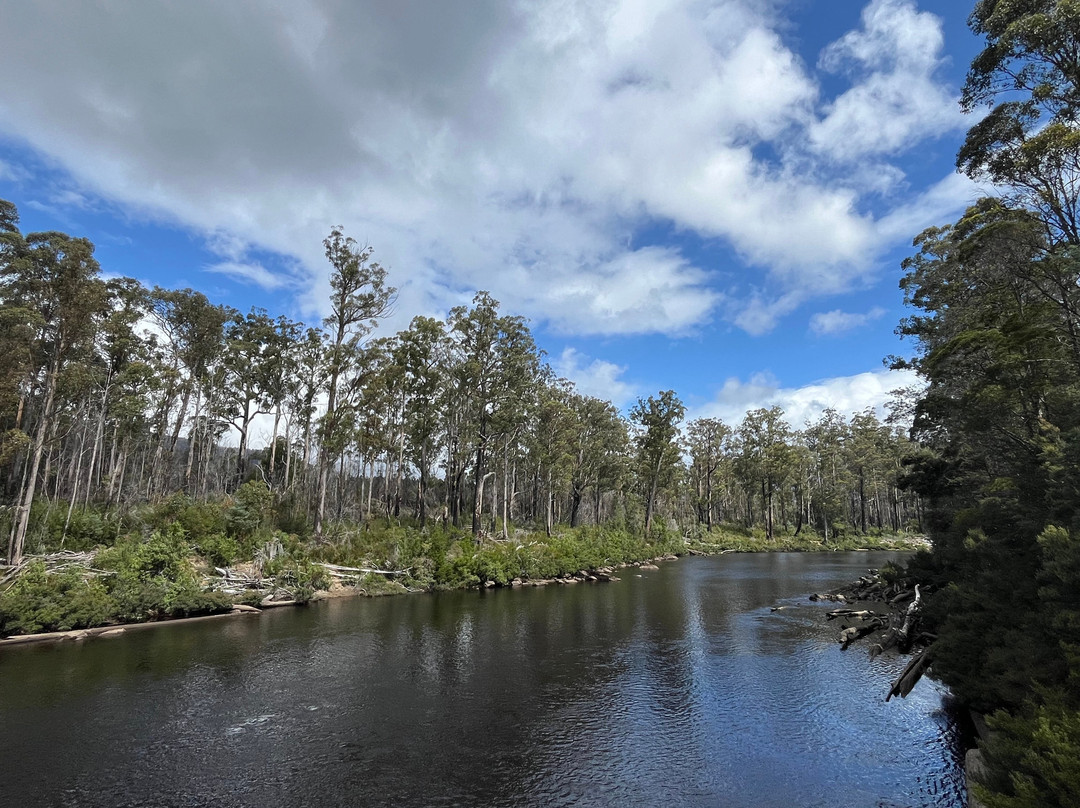 Tahune Adventures-Geeveston必去景点