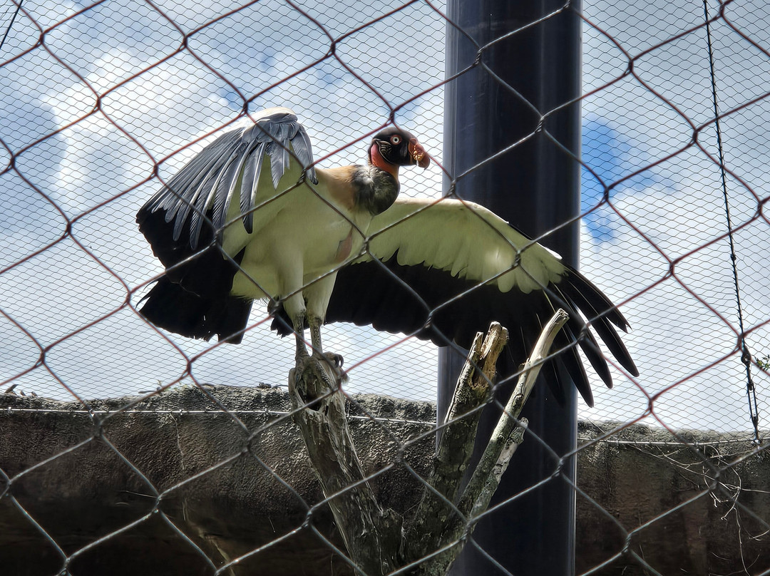 Baton Rouge Zoo-巴吞鲁日必去景点