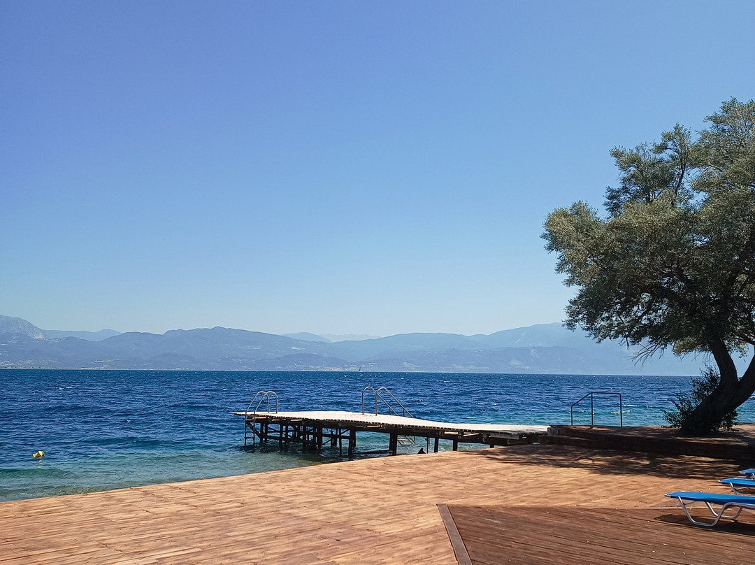 Florida Blue Bay主图