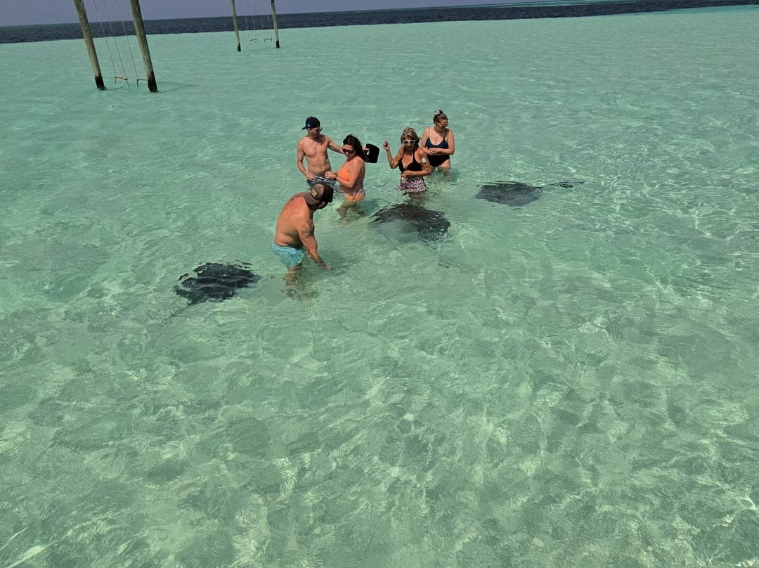 Spanish Wells Fishing-Spanish Wells必去景点