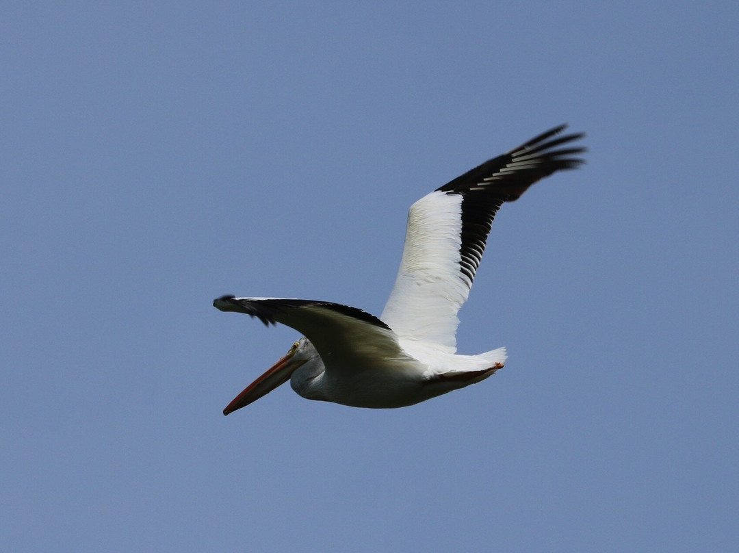 Barkhausen Waterfowl Preserve-Suamico必去景点