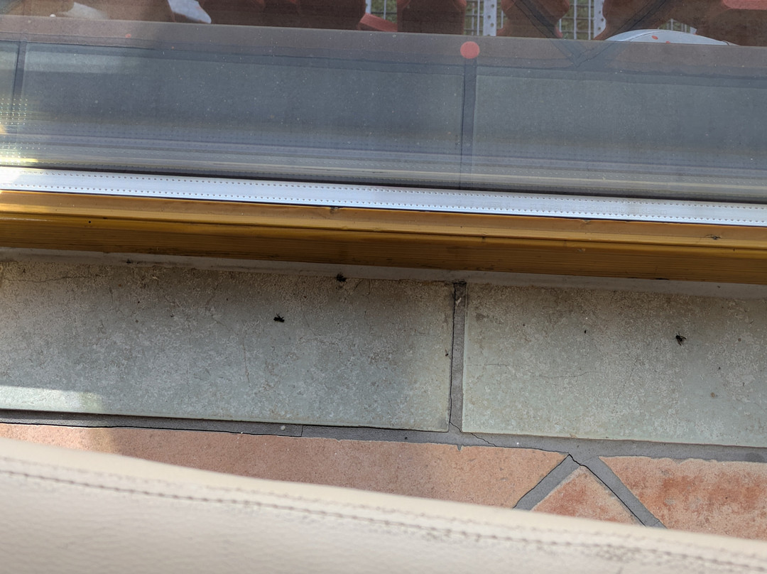 Harmonie Hotel Rust主图