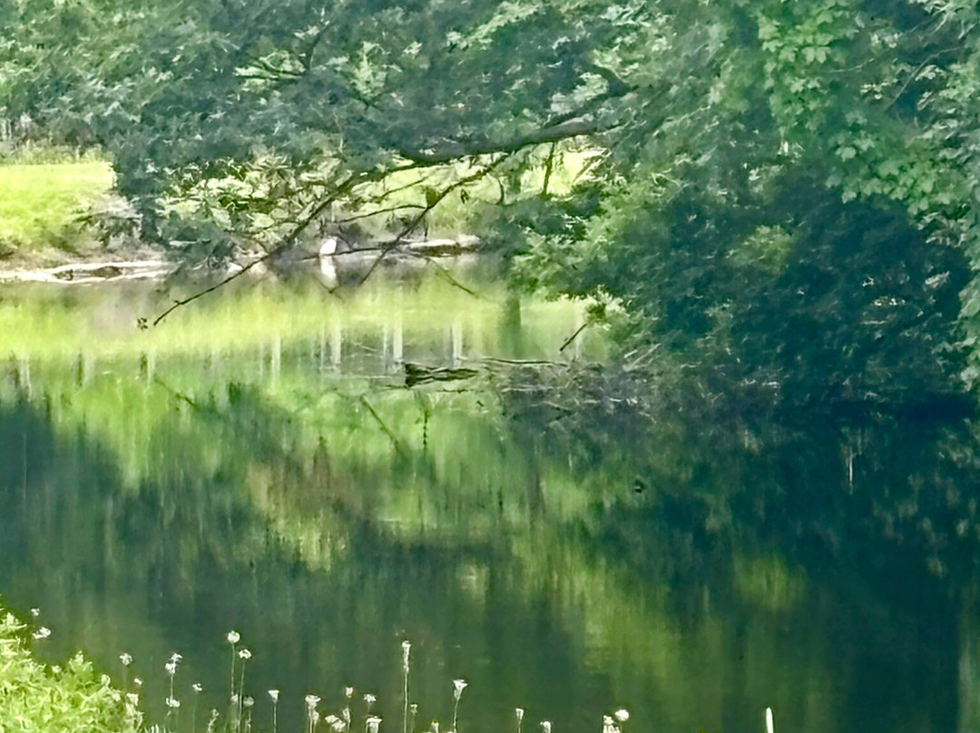 Feeder Canal Trail-Glens Falls必去景点