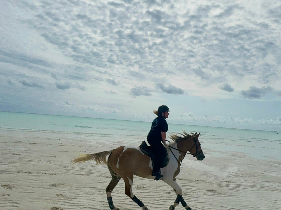 Zanzibar Horse Club-孥归必去景点