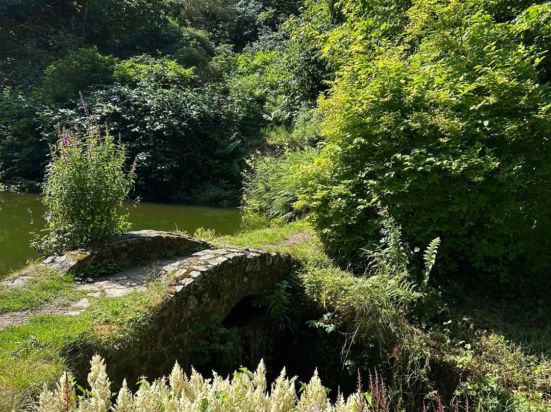 Marwood Hill Gardens-Marwood必去景点