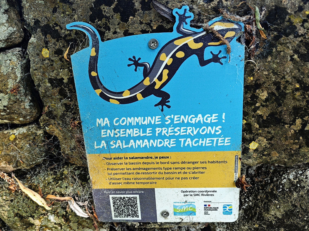 Fontaine Et Lavoir De Chey-Melle必去景点