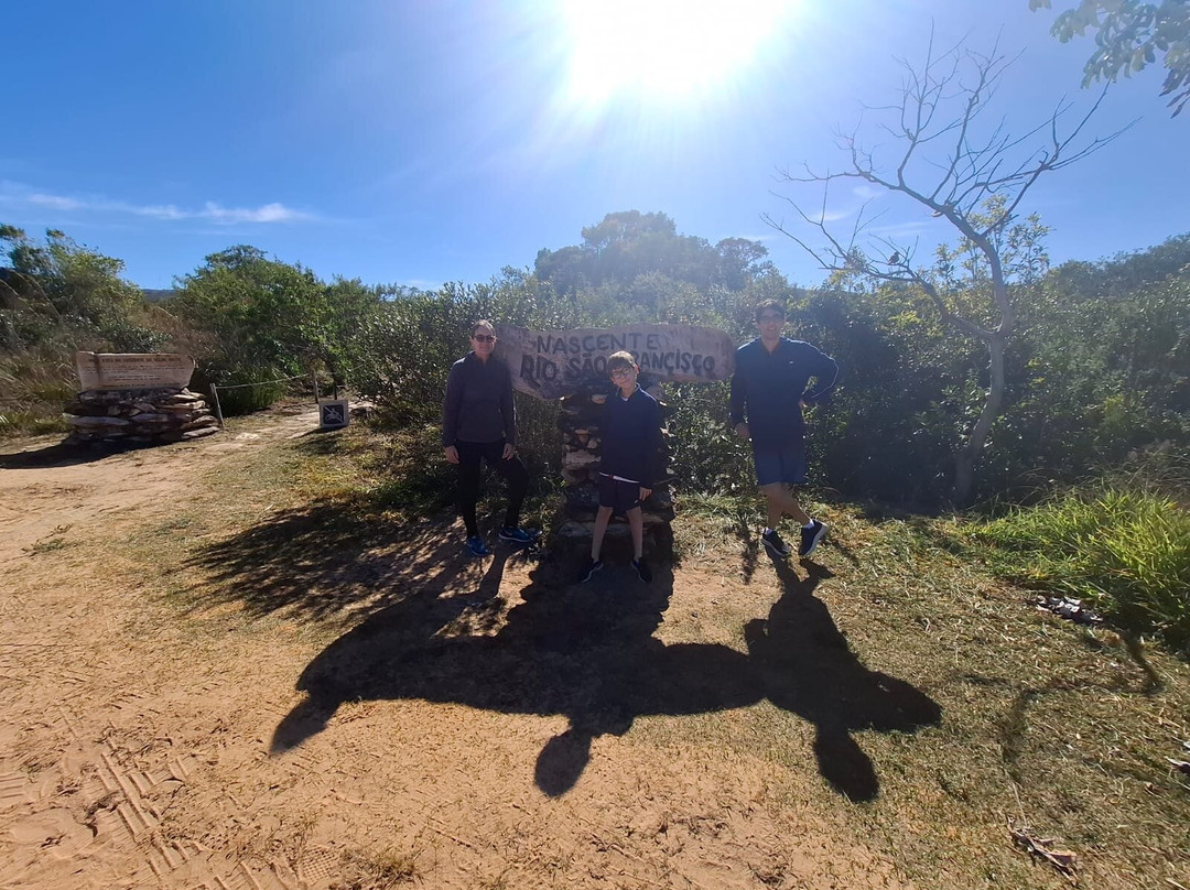 Canastra Sempre Viva