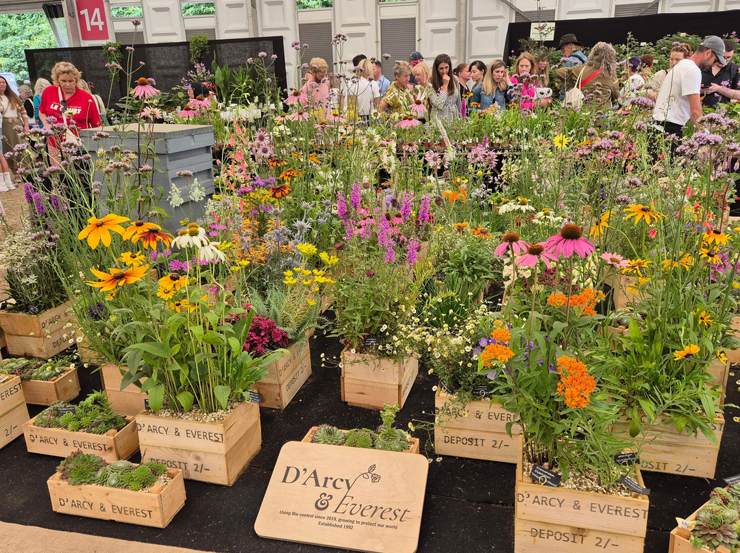 Hampton Court Flower Show-East Molesey必去景点