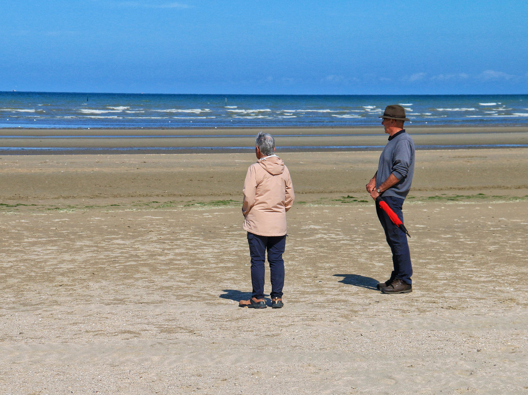 D-Day Tours of Normandy-Saint-Ouen-La-Rouerie必去景点