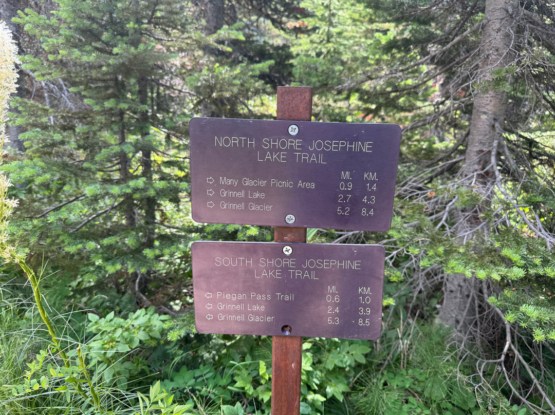 Swiftcurrent Lake Nature Trail-东冰川公园必去景点