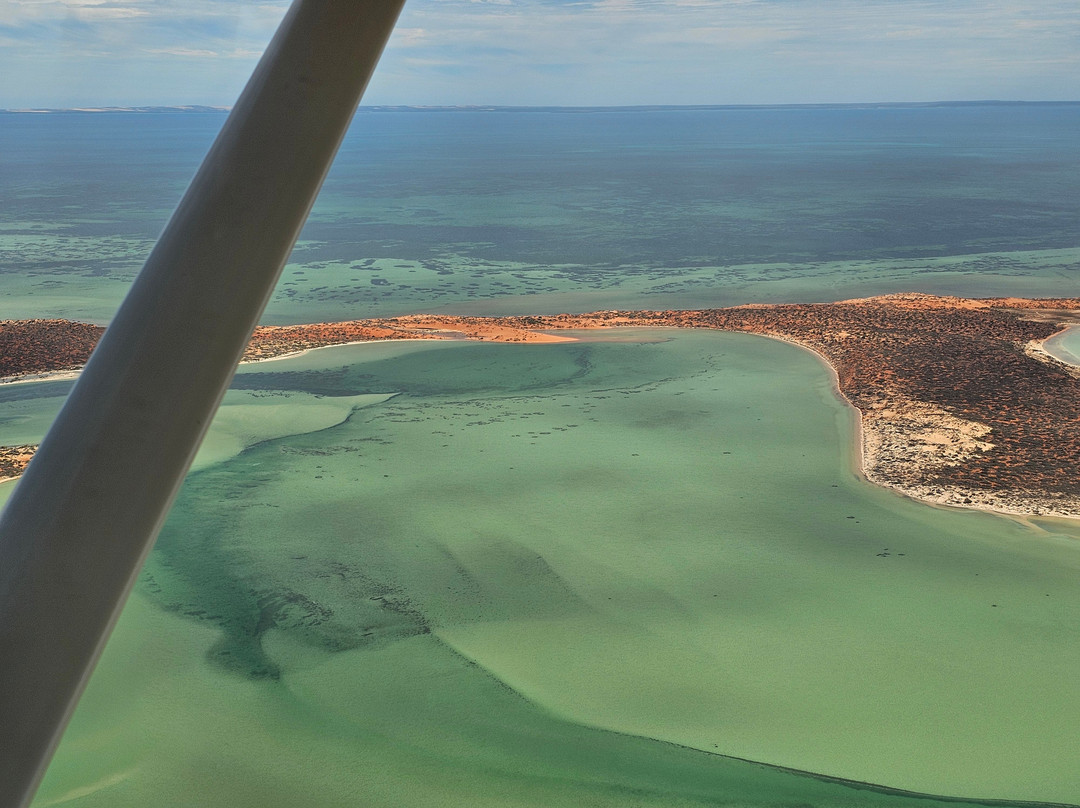 Shark Bay Aviation-德纳姆必去景点