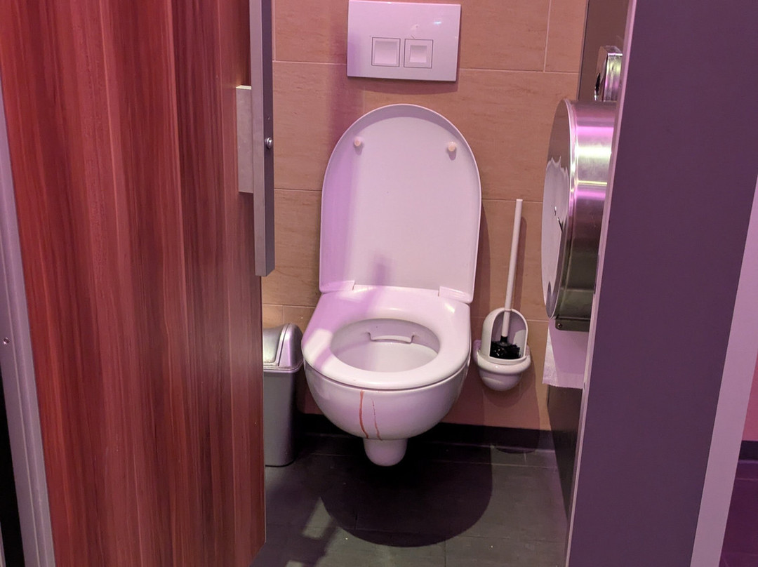 Traumpalast Leonberg-莱昂贝格必去景点