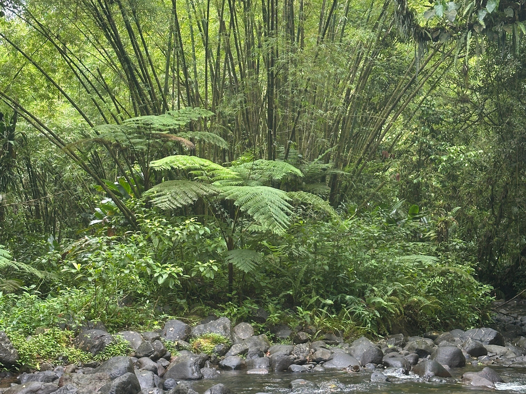 Rando A2Pas-Ducos必去景点