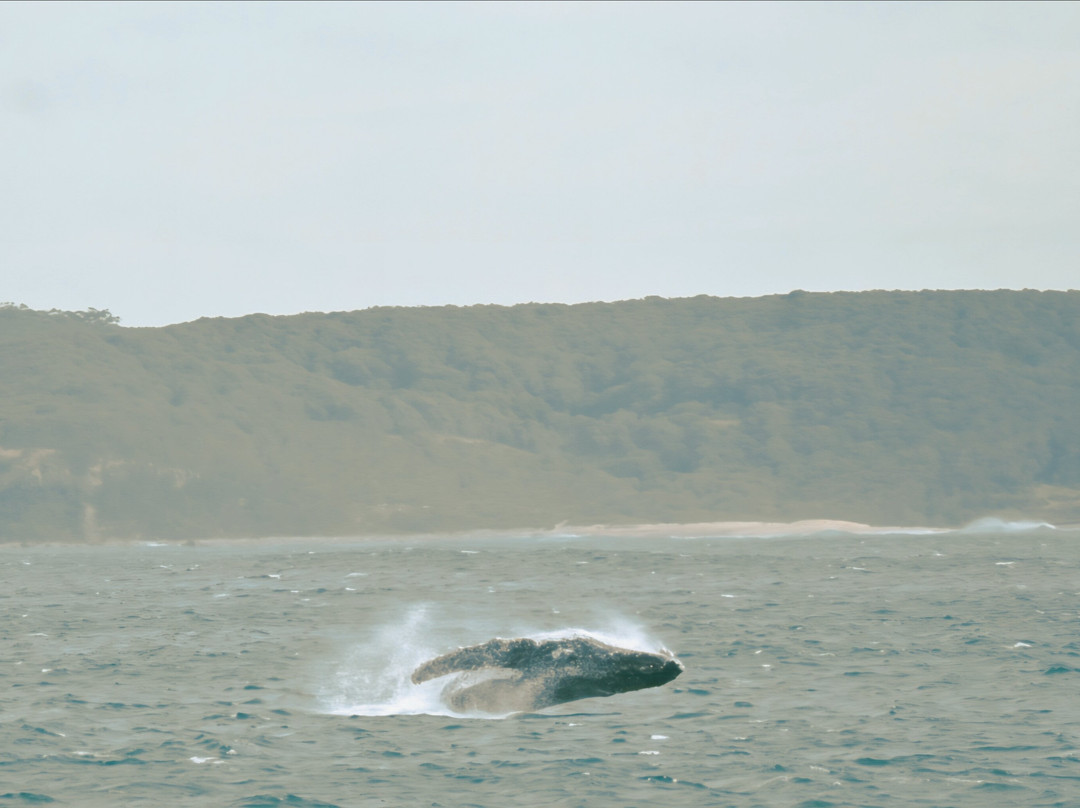 Nova Cruises-纽卡斯尔必去景点