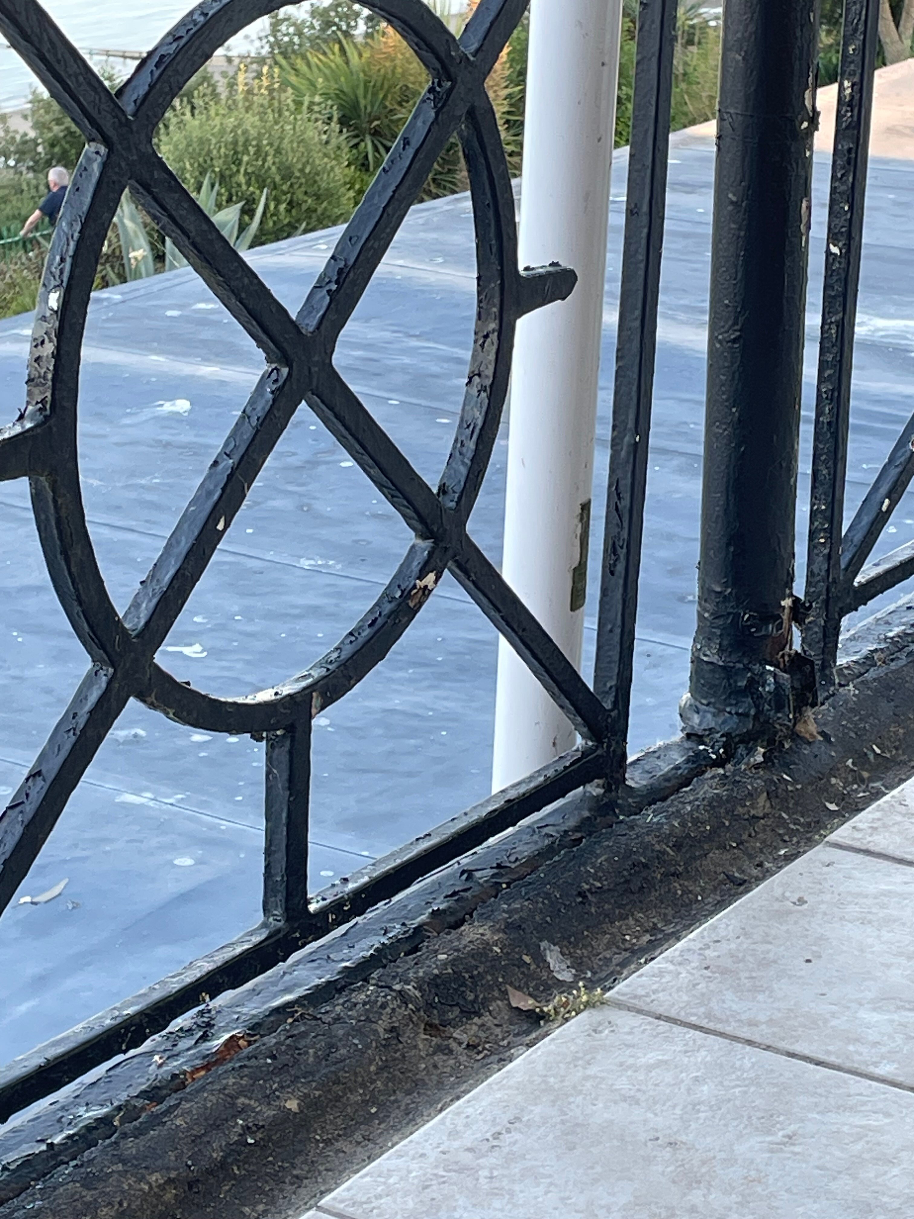 Villa Mentone Hotel-酒店景观